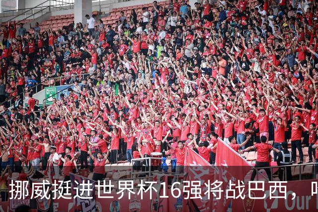 挪威挺进世界杯16强将战巴西，哈兰德发声