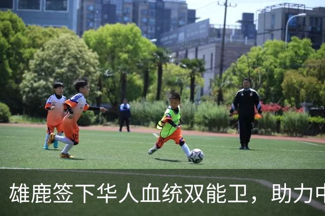 雄鹿签下华人血统双能卫，助力中国男篮归化新目标，疑似孙氏后裔